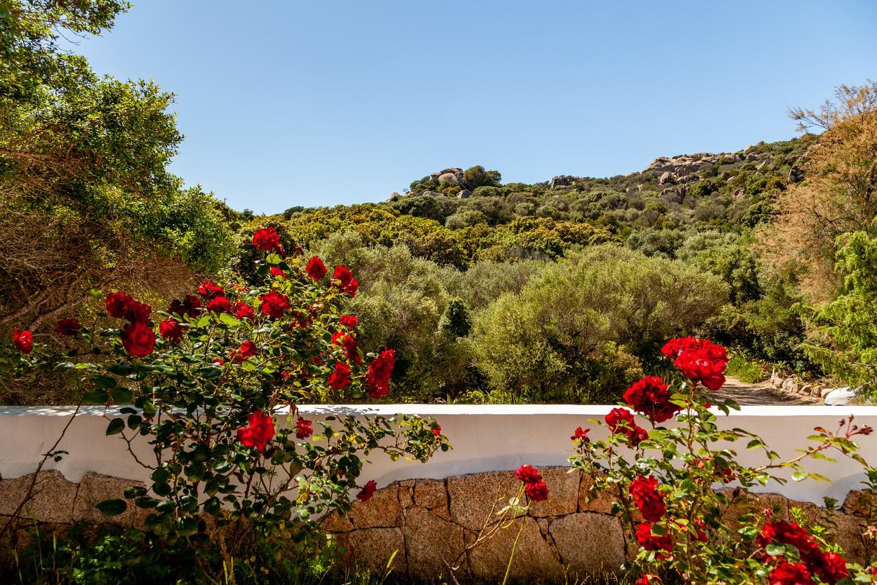 Casa Saltara (Adults Only) Villa Santa Teresa Gallura Exterior photo